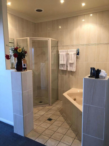 Bathroom 3, Turners Vineyard Motel, Orange