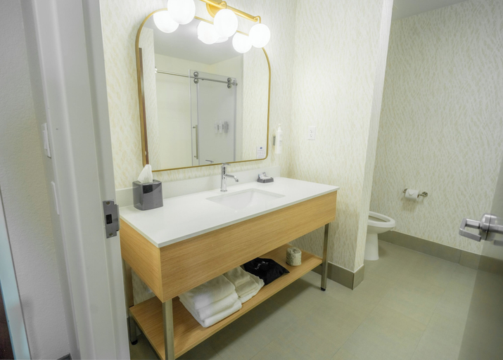 Bathroom 4, Hampton Inn & Suites Mission, Hidalgo