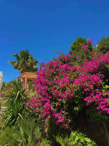 Garden 2, Seaview Appartment With Infinity Pool & Kitchen, Crete