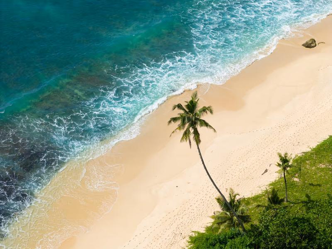 Public Area 4, Vis Ta Vie -Thema Collection, Weligama