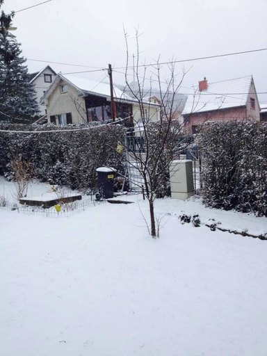 Property grounds 4, Room-charming Vienna Retreat With Garden, Wien