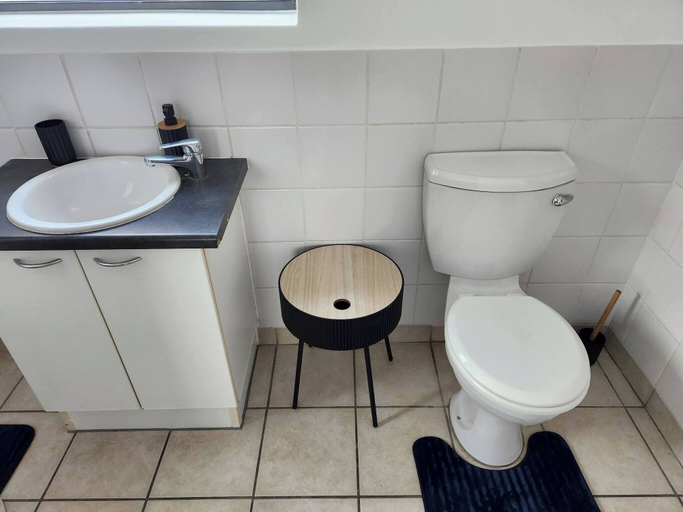 Bathroom 2, Luxurious Green Riverside Loft apartment, City of Cape Town