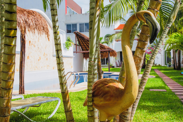 Others 2, Room-executive Basic Room With Swimming, Cozumel