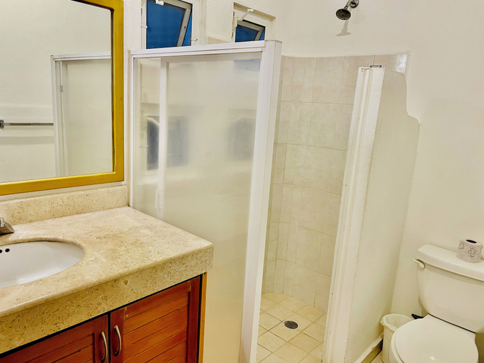 Bathroom, Room-superior Basic Room With Swimming P, Cozumel