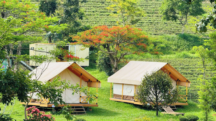 Exterior 4, TAM CHAU FARM, Bảo Lâm