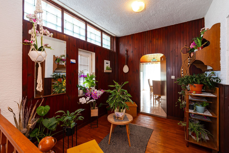 Interior, Say Close to Center and Beach 6 Kd, Novalja