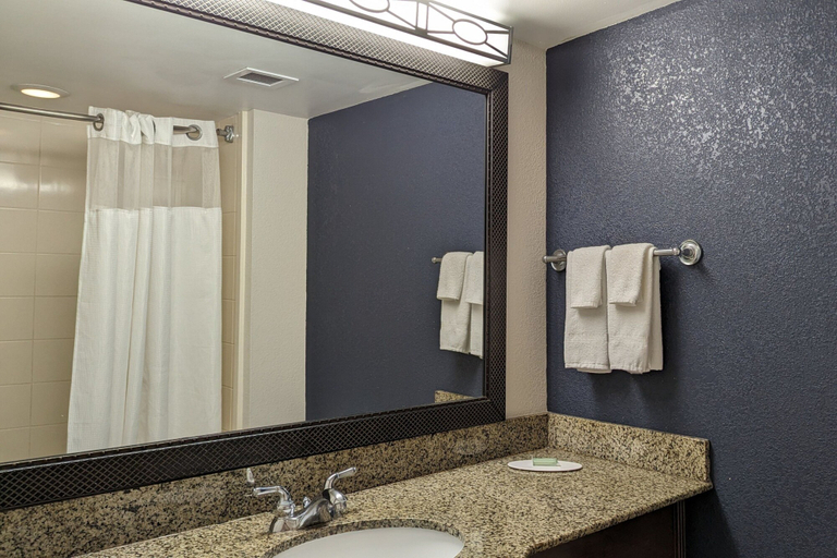 Bathroom 4, Fairfield Inn & Suites Valdosta, Lowndes