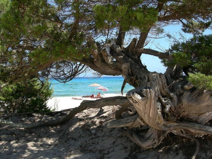 Beach 2, Stunning Residence Bouganvillage Bedroom Num1313, Nuoro