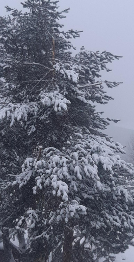 Others 3, Rodopi Guest House, Rakitovo