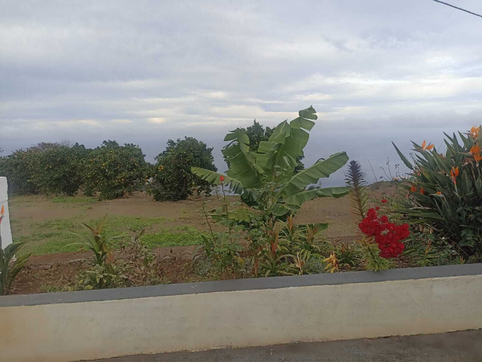 Property grounds 2, María José Rural House, Santa Cruz de Tenerife