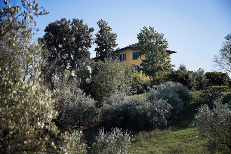 Garden 5, Villa Pacini - Just 1,8 km Outside Lucca Wall - Pool, Lucca