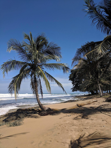 Beach 5, Caribbean Alchemy Cocles Beach, Talamanca