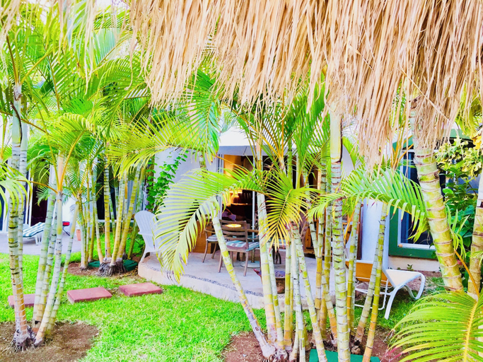 Others 5, Room-playacar -executive Comfort Room Wi, Cozumel