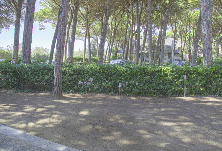 Garden, Apartment in Pine Forest Near the Beach, Venezia