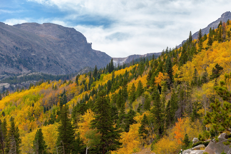 Mountain view 2, Enjoy Nature From This Charming Cabin With Deck, Fireplace, & Washer and Dryer, Larimer