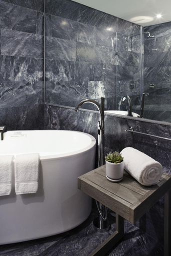 Others 4, Felix Luxury Plus by Viadora, Mexico City