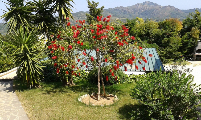 Others 5, Apartment in Villa 2 to 4 Persons With Large Garden "stella", Livorno