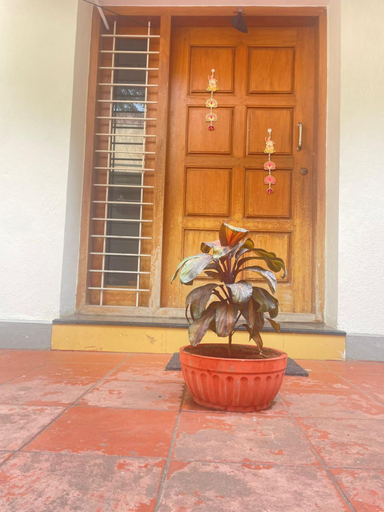 Exterior view 1, Neha's Homestay, Mysore