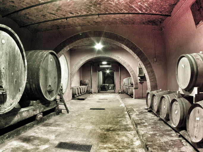 Others 3, Fattoria Santa Vittoria Apartment Gazza, Arezzo