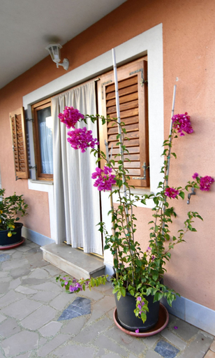 Exterior detail, Peaceful Stay With bbq and Parking, Umag