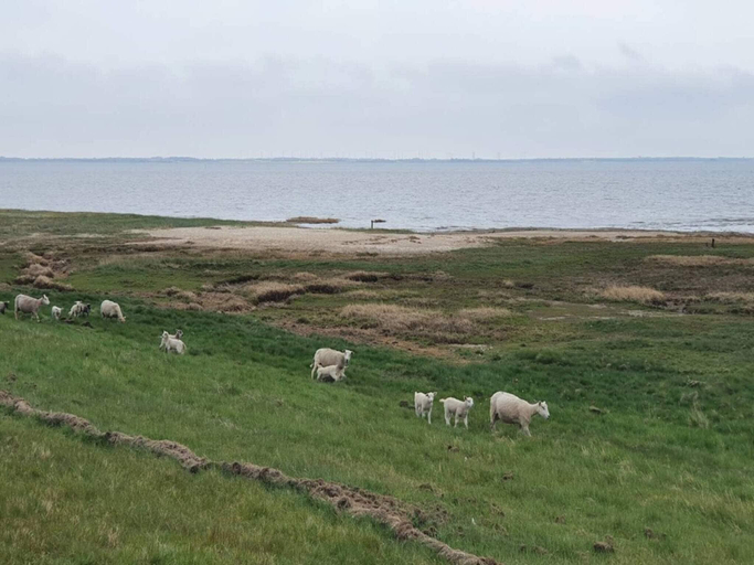 Others 5, 6 person holiday home in Rømø, Tønder