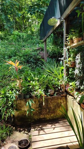 Garden 4, Teak House in a Forest Above the Beach, Puntarenas