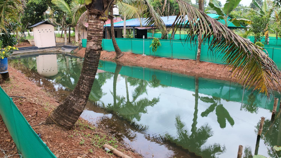 Sport & Beauty 2, BIKI'S PALM VILLA, Kottayam