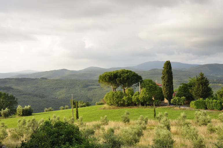 Others 4, Tuscan Rustic Apartment, Grosseto