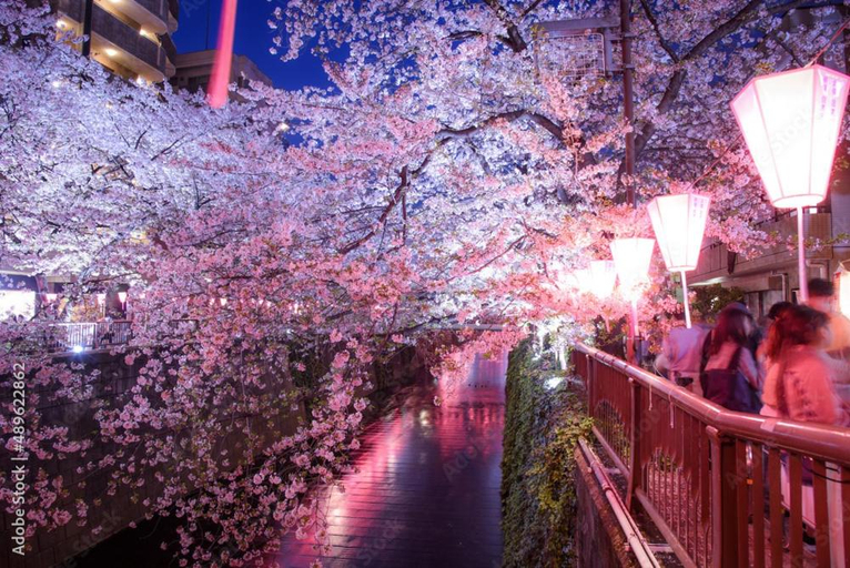 Others 5, rakuna Inn 遊 ~kinshicho, Sumida