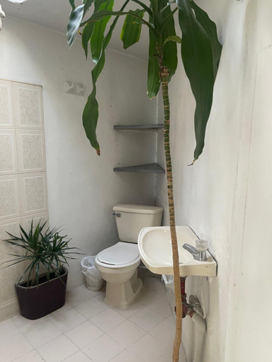 Bathroom 3, Hostal Casa Las Tias, Medellín