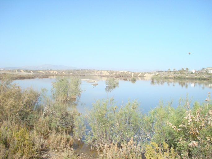 Others 5, Ground Floor Naturist Studio With Terrace, Almería