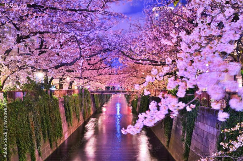 Others 4, rakuna Inn 遊 ~kinshicho, Sumida