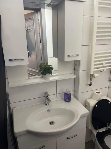 Bathroom, Big Beautiful Appartement in Center of Antwerpen, Antwerpen