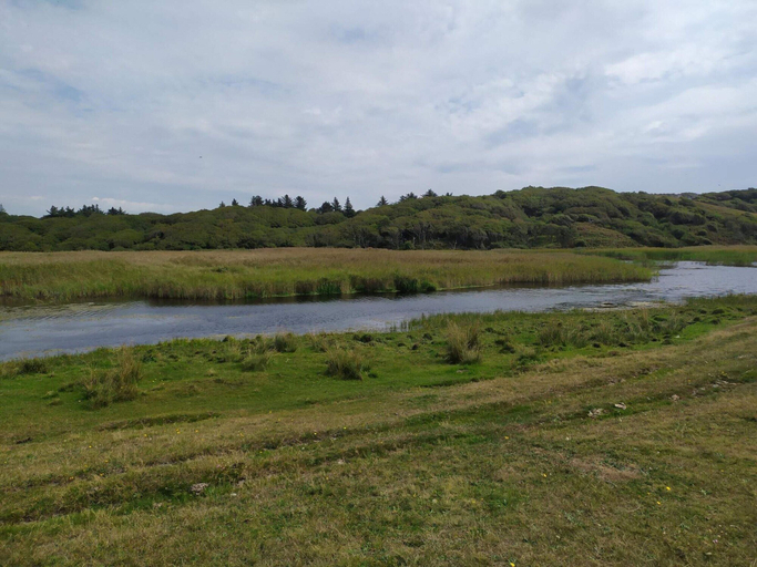 Others 5, 6 Person Holiday Home in Spottrup, Skive