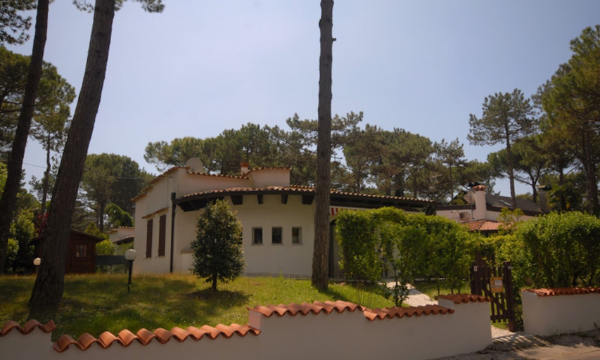 Primary image