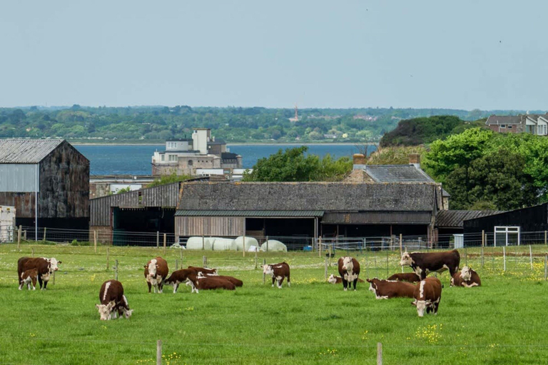 Room 5, Spring Hill Luxury Home Countryside Solent Views, Isle of Wight