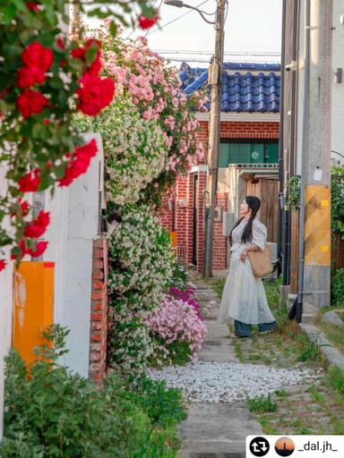 Others 4, Dongparang hanok stay, Gyeongju