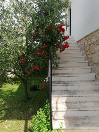 Others 4, Vacation House Dunja, Runovići