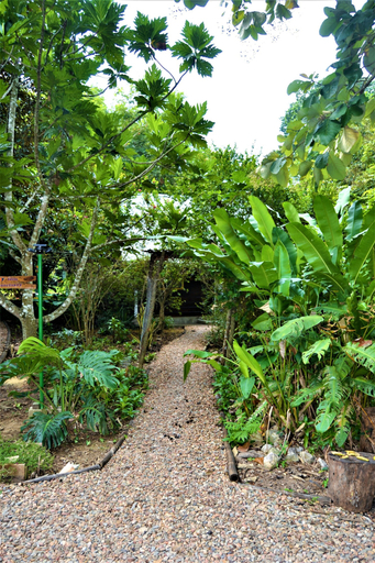 Others 5, Kiskadee A Peaceful Jungle Cabana Close to San Ignacio, Great Base for ATM Tour