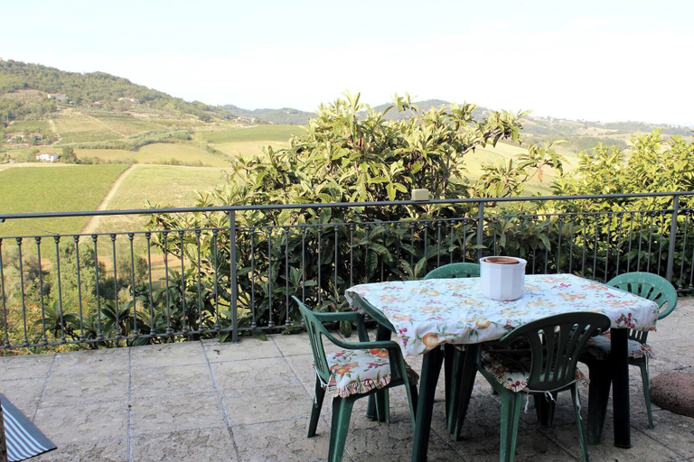 View from property 5, La Culla Tra I Vigneti, Asti