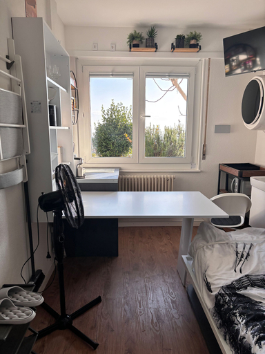 Room 2, Room-lake View Room in Pully With Washin, Lavaux-Oron