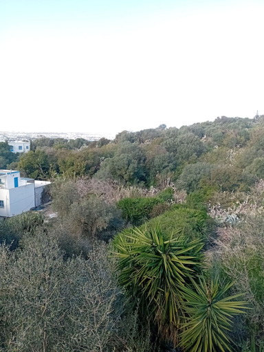 Miscellaneous 2, Maison L'étoile de Sidi Bou Saïd - 360° Sea View, Carthage