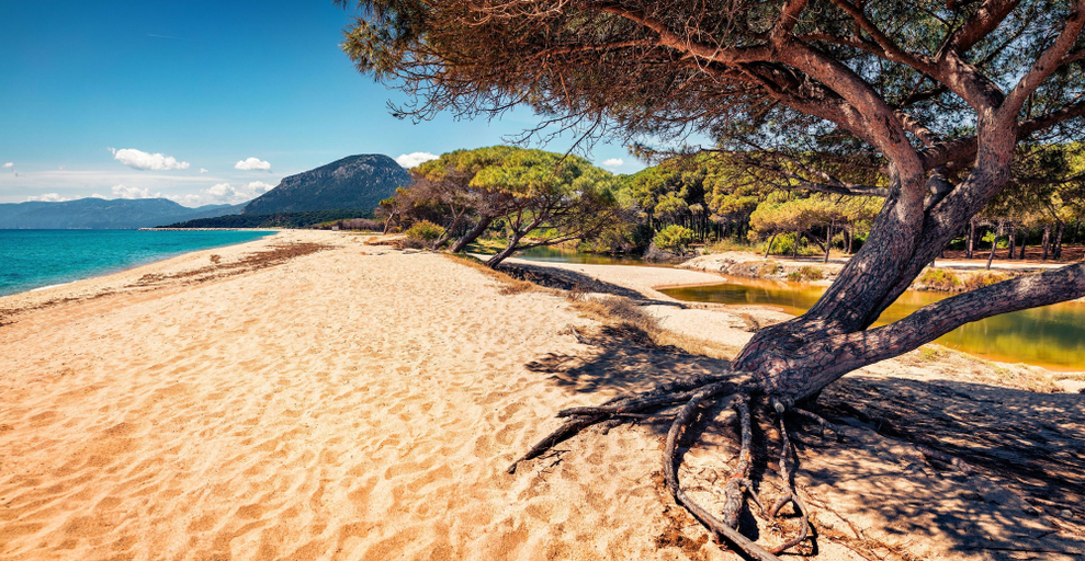 Beach 4, Idyllic Residence Cala Viola 1 Bedroom Apartment Sleeps 3 No1414, Nuoro