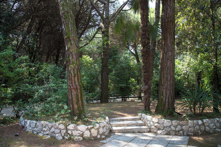 Garden 4, Pine-front Bungalow Steps From the Beach, Venezia