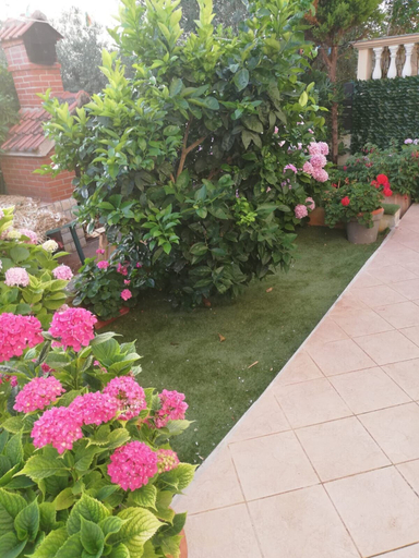 Garden 3, Apartment Pavin, Preko