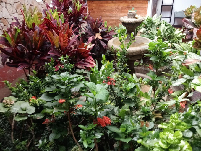 Others 4, Hostal Patio del Rio, Santiago de Cali