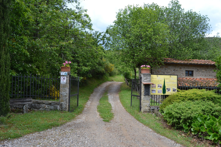 Others 4, Apartment With Views of the Surrounding Nature, Arezzo