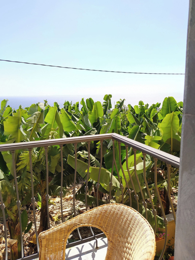 Property grounds 5, Caracol "trail Mountain La Palma", Santa Cruz de Tenerife