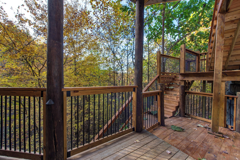 Property grounds 5, Bears Haven Lodge, Sevier