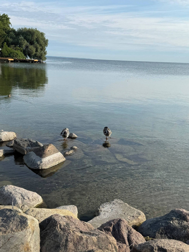 Beach 5, Cozy Lakefront House Retreat For Families&friends, York